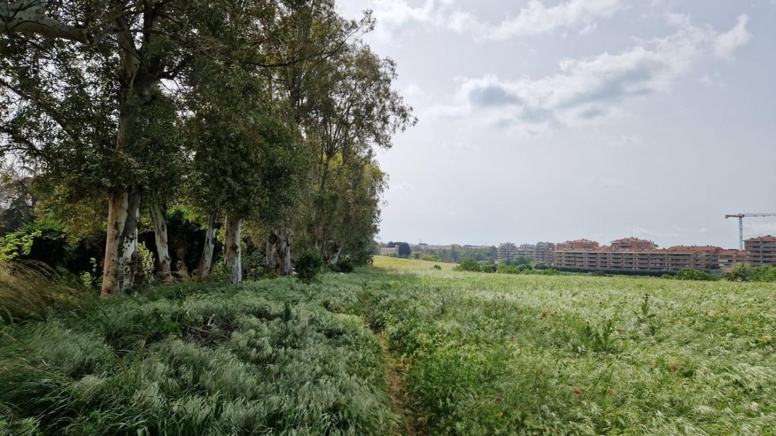 La Stanza Degli Abeti Blu Séjour chez l'habitant *